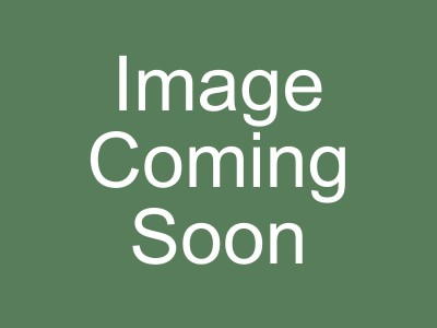 Vegetable Seasoning Blend (100g)